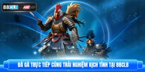 Đá Gà Trực Tiếp Cùng Trải Nghiệm Kịch Tính Tại 88CLB