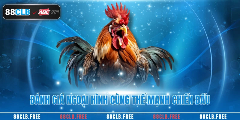Đánh giá ngoại hình cùng thế mạnh chiến đấu