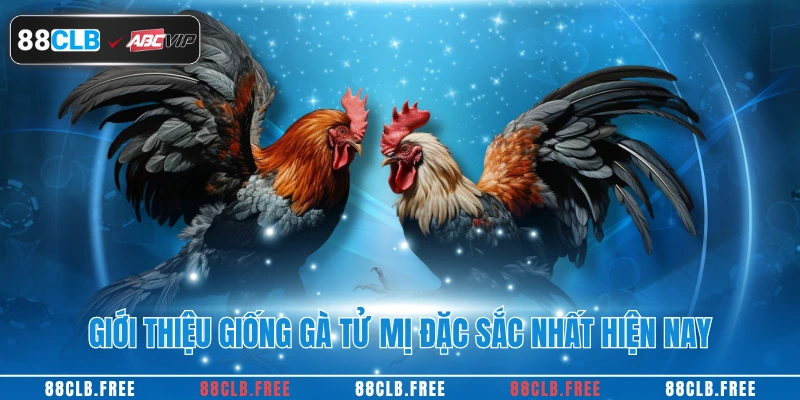 Giới thiệu giống gà tử mỵ đặc sắc nhất hiện nay
