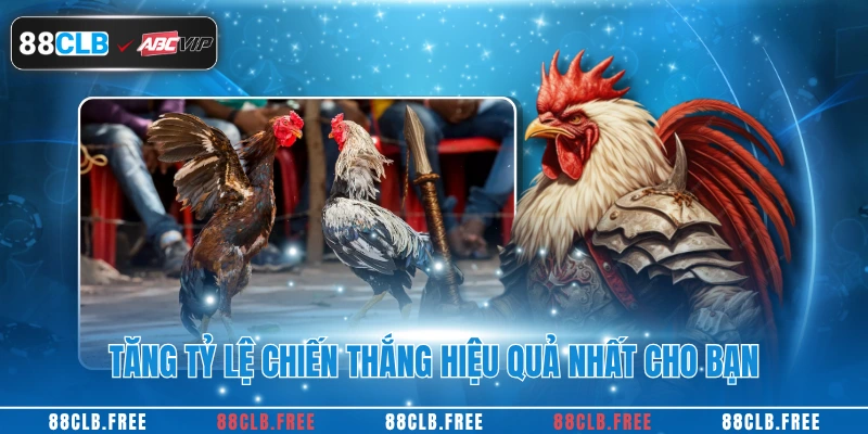 Tăng tỷ lệ chiến thắng hiệu quả nhất cho bạn