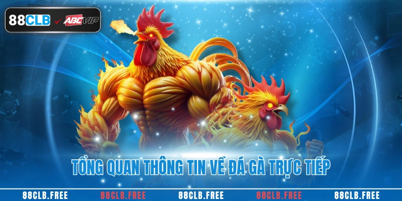 Tổng quan thông tin về đá gà trực tiếp